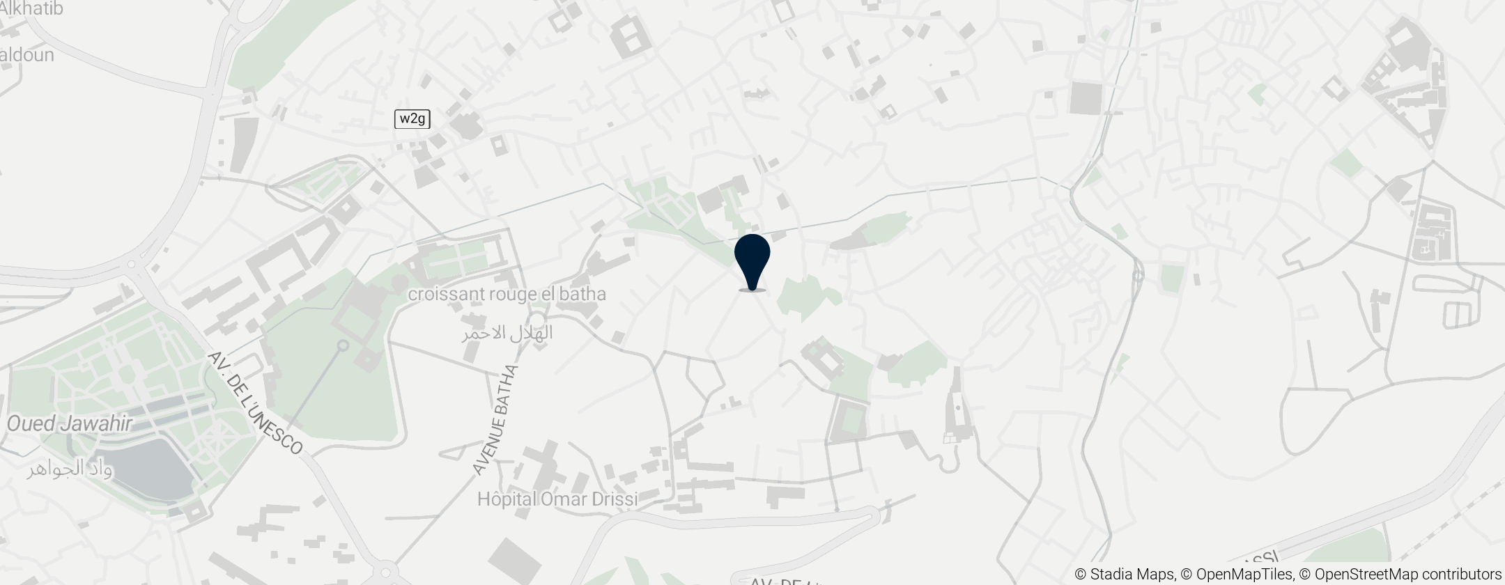 Map of Medina of Fez