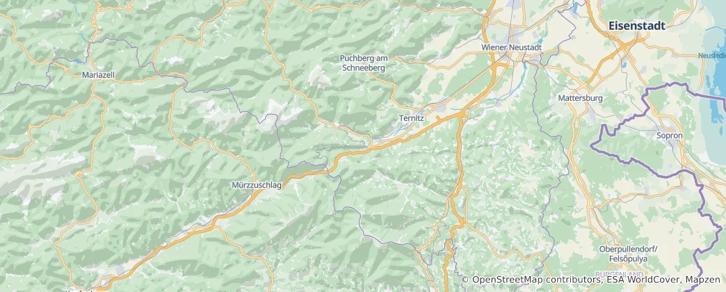 Neunkirchen (ilçe, Avusturya) Haritası