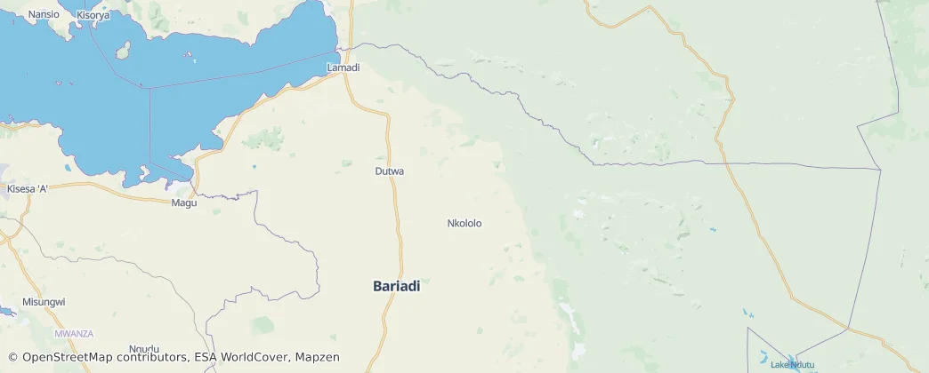 Distrikt Bariadi – Mapa