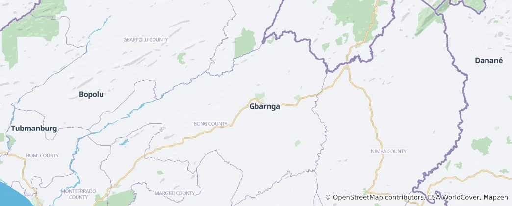 Map of Bong County