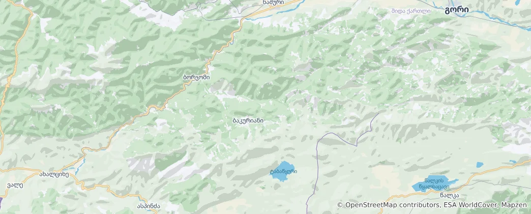 Map of Borjomi Municipality