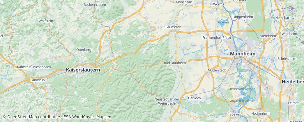 Bad Dürkheim 지도