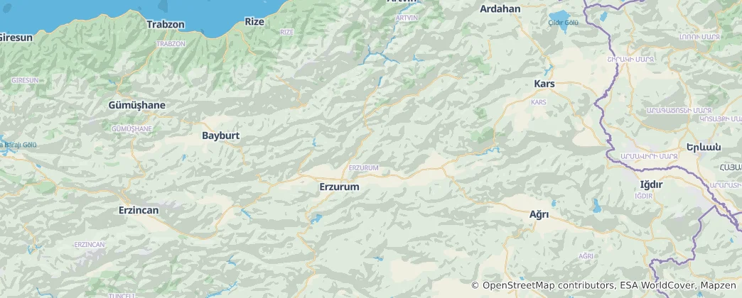 Karte von Provinz Erzurum