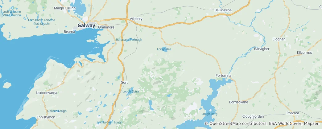 Mapa De Loughrea Municipal District (2014-2019)