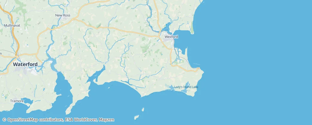 The Borough District of Wexford — Mappa