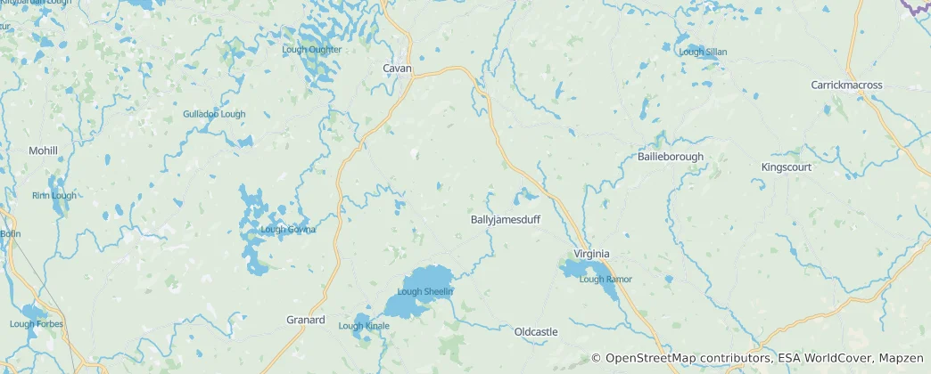 Ballyjamesduff Municipal District Haritası