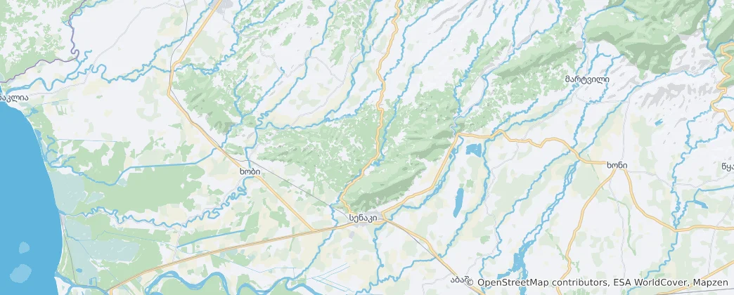 Mapa Senaki Municipality
