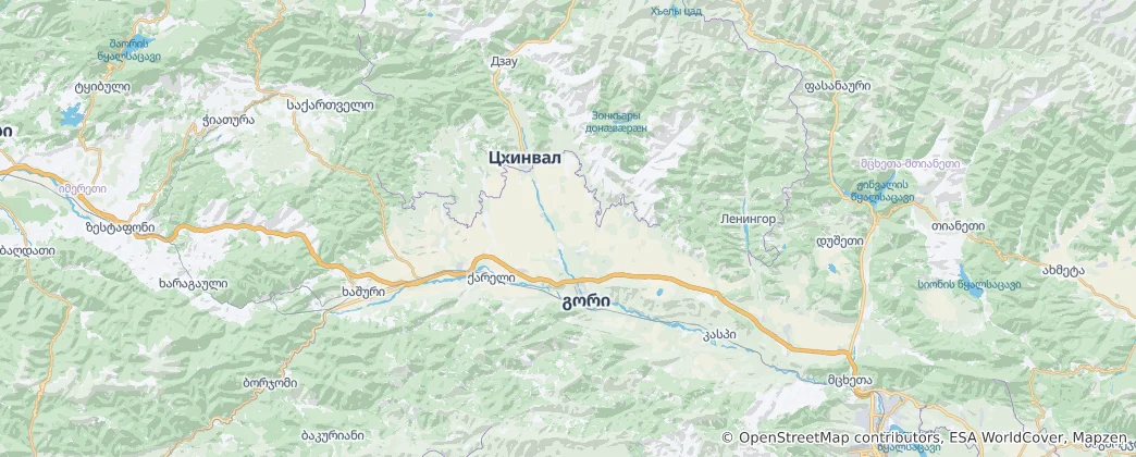 Map of Gori Municipality