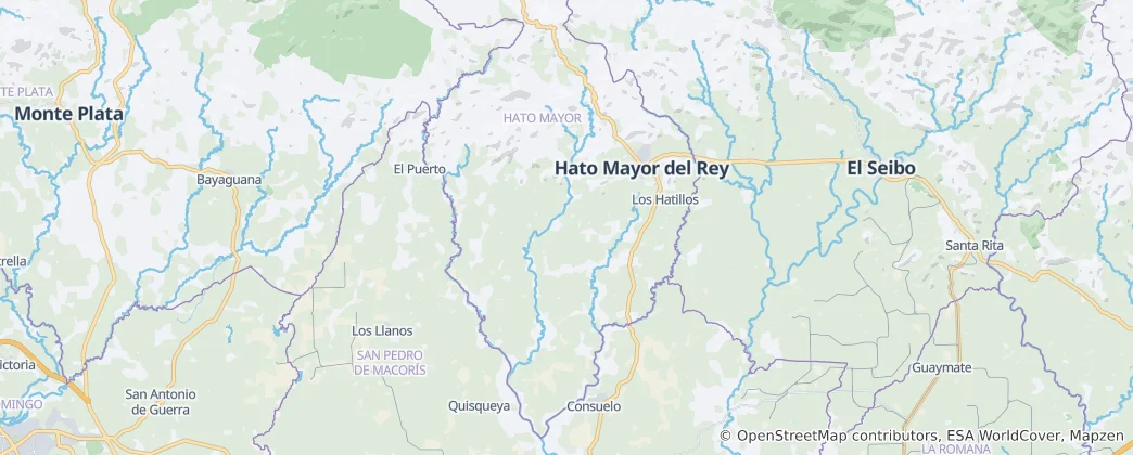Mapa Hato Mayor del Rey