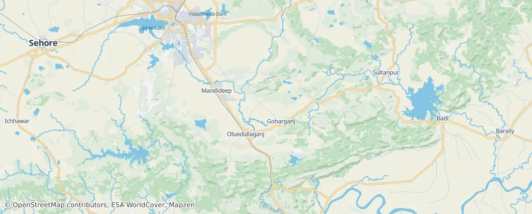 Goharganj — карта