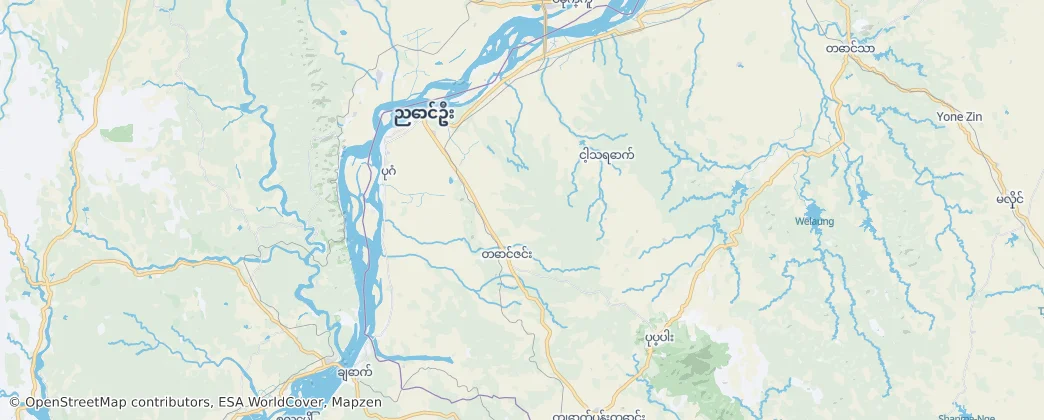 Nyaung-U Township — Map