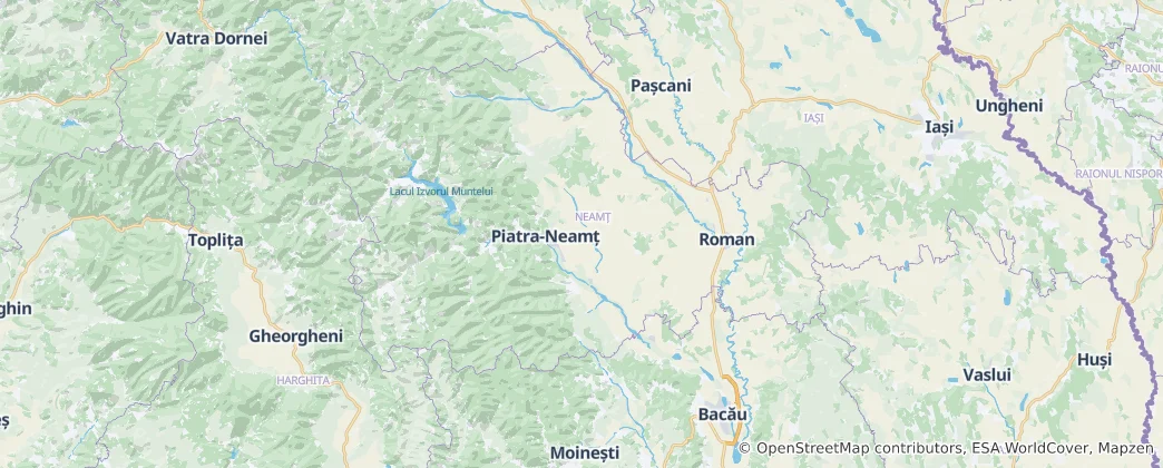 Mappa di Distretto di Neamț