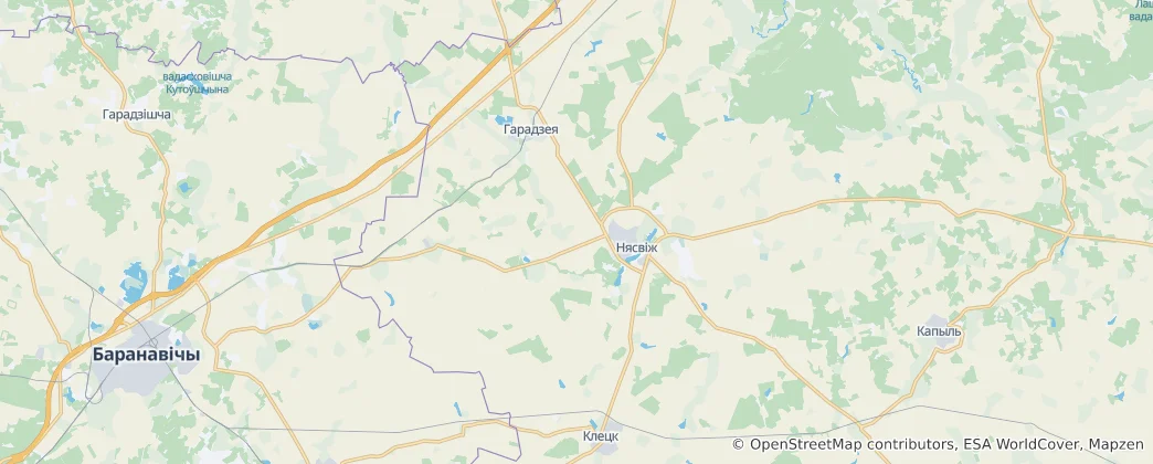 Mapa Njasvižský okres