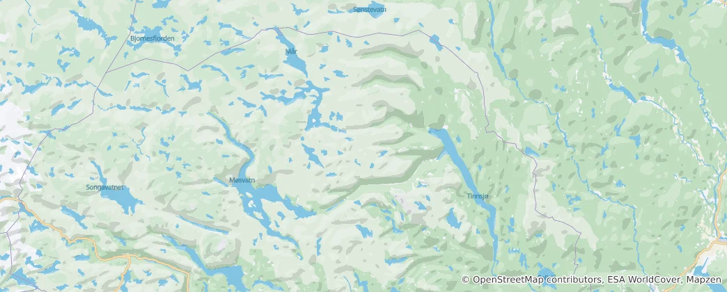 Mappa di Tinn