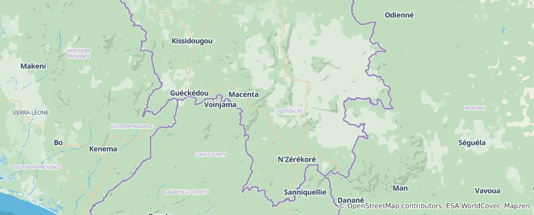 Map of Nzérékoré Region