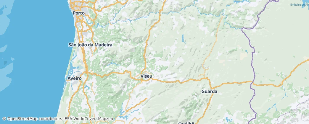District Viseu — Kaart