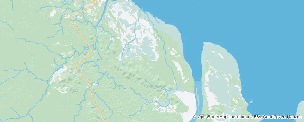 Mappa di Réserve naturelle des marais de Kaw-Roura