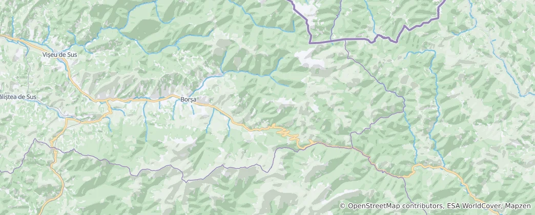 Mapa Borșa