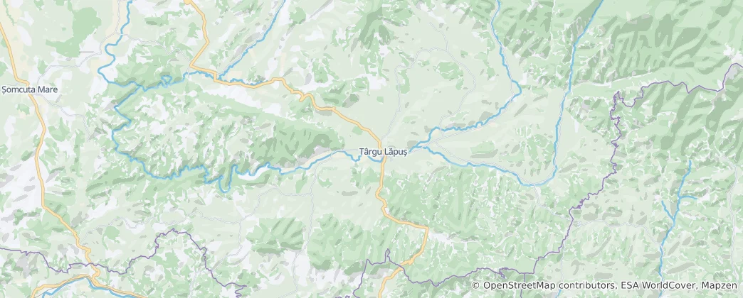 Mappa di Târgu Lăpuș