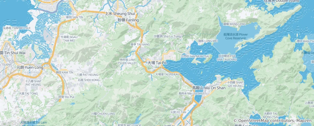 Mappa di Tai Po