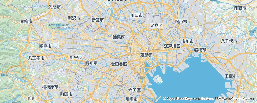 Карта Токио