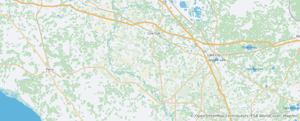 Mappa di contea di Suwannee