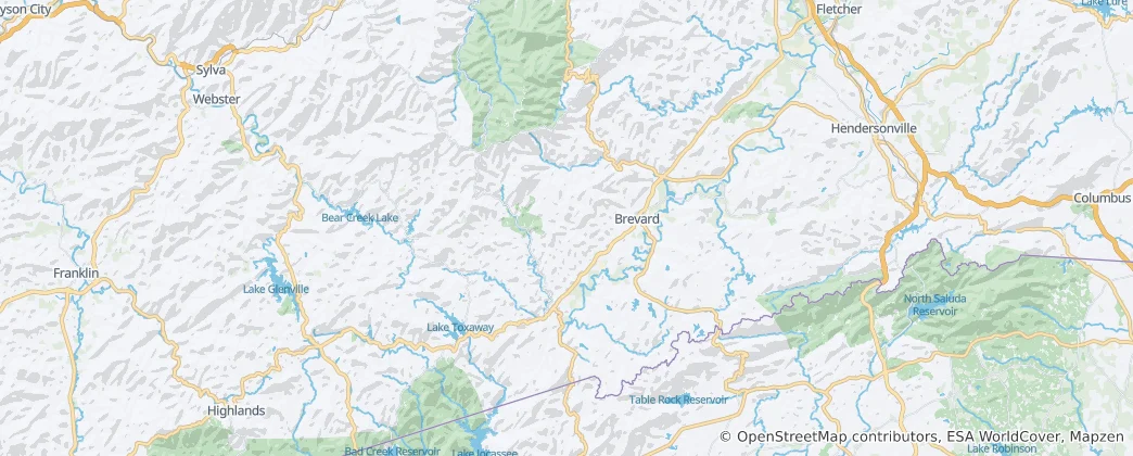 Karte von Transylvania County