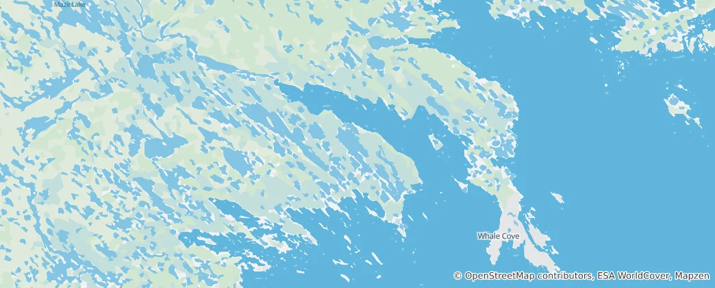 Mapa Whale Cove