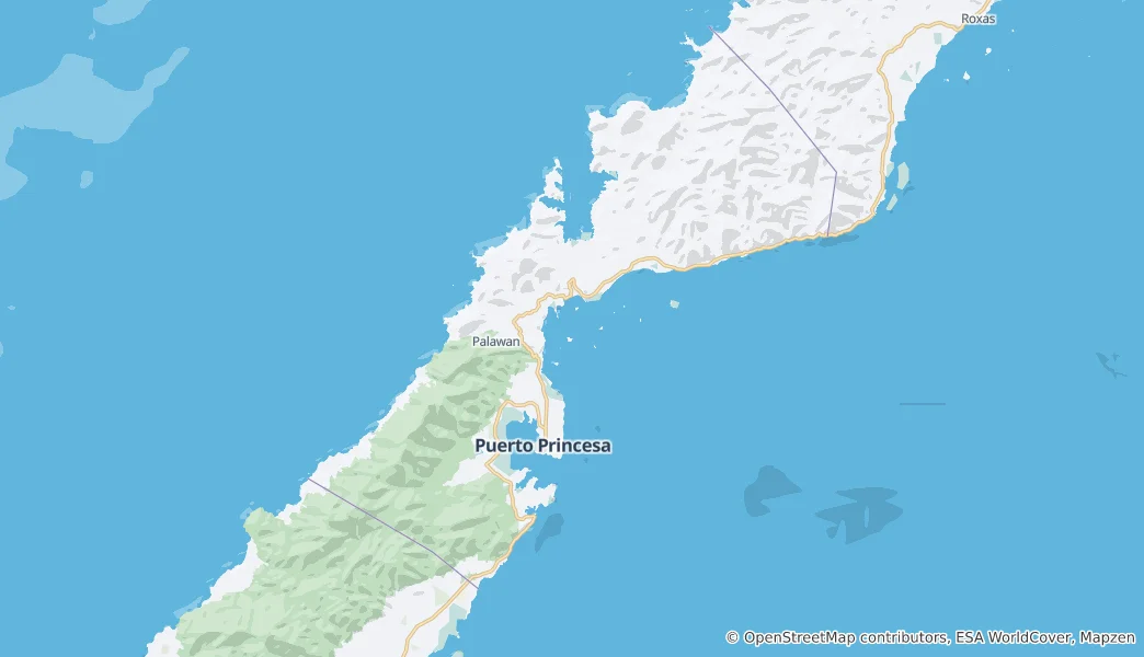 Map of Puerto Princesa