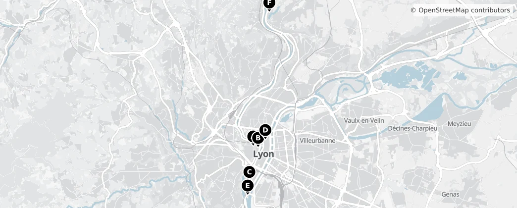 Map of Arrondissement of Lyon