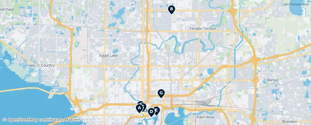 Map of Tampa