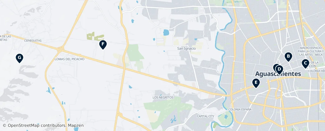 Map of Aguascalientes Municipality