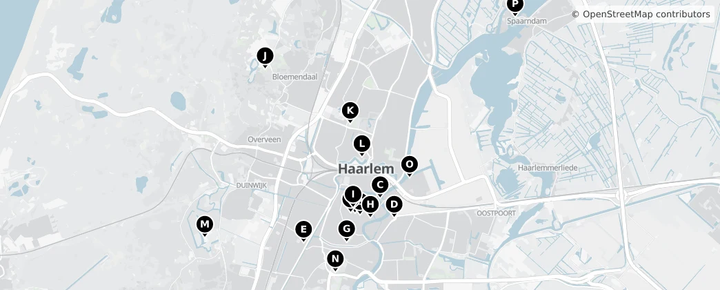 Map of Haarlem