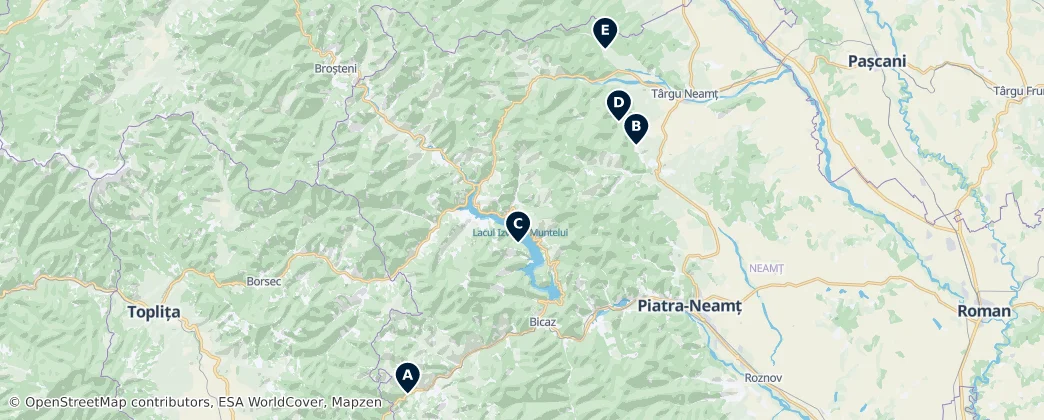 Map of Neamț