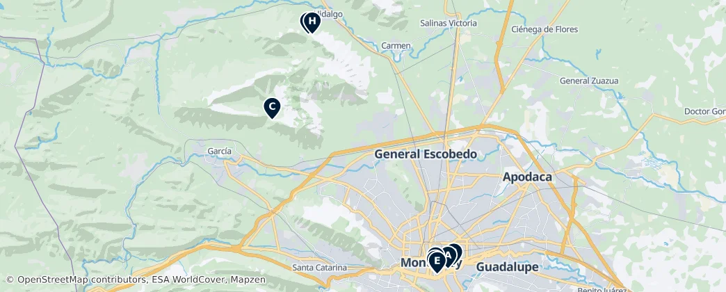 Map of Nuevo León