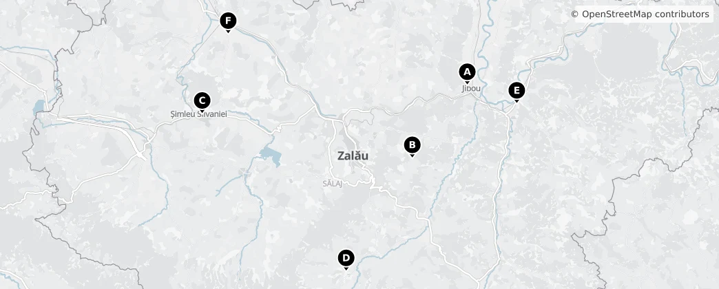 Map of Sălaj