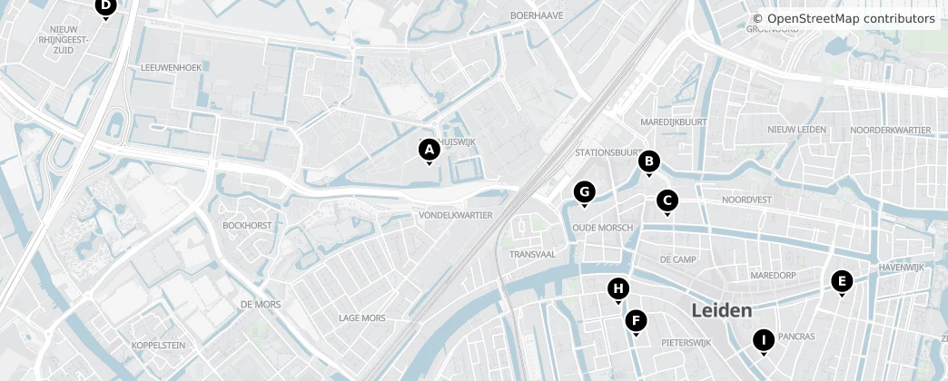 Map of Leiden