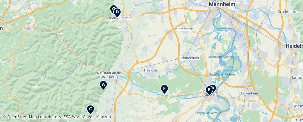 Map of Region Rhein-Neckar (RP)