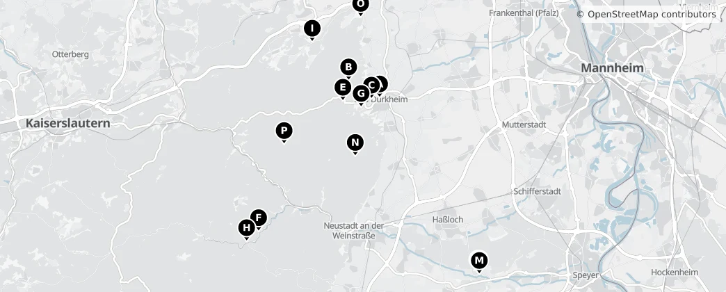 Map of Landkreis Bad Dürkheim