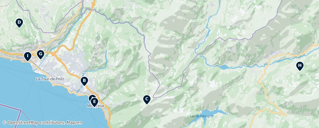 Map of Distrito de Riviera-Pays-d'Enhaut