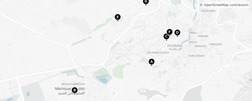 Map of Mechouar Fes Jdid