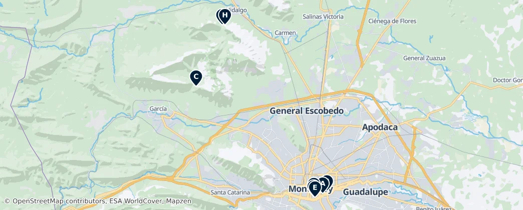 Map of Nuevo León