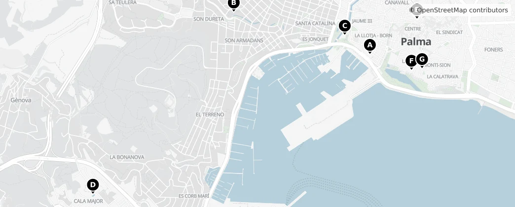 Map of Palma