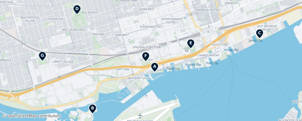 Map of Spadina–Fort York