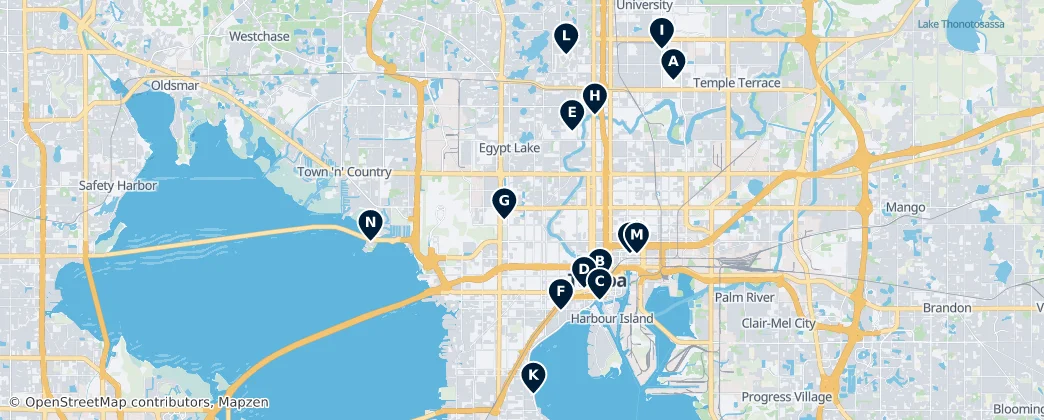 Map of Tampa
