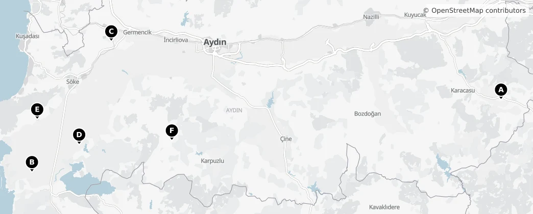 Map of Aydın