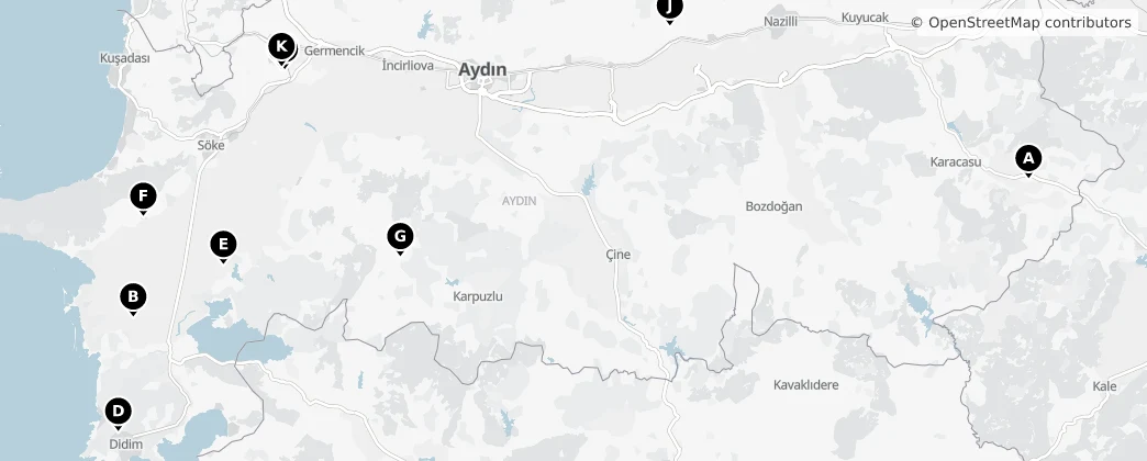 Map of Aydın