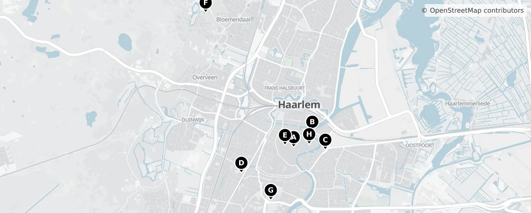 Map of Haarlem