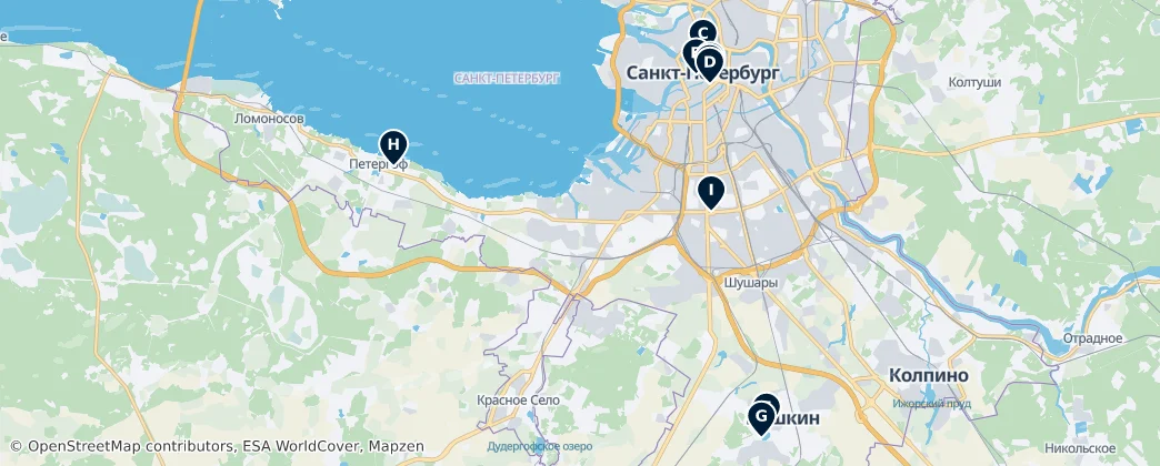 Map of San Pietroburgo