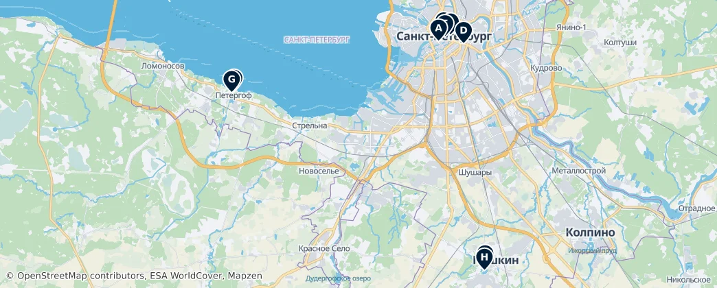 Map of San Pietroburgo